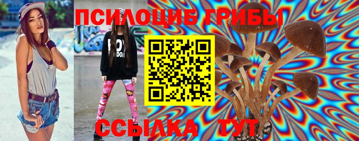 Псилоцибиновые грибы GOLDEN TEACHER Железногорск