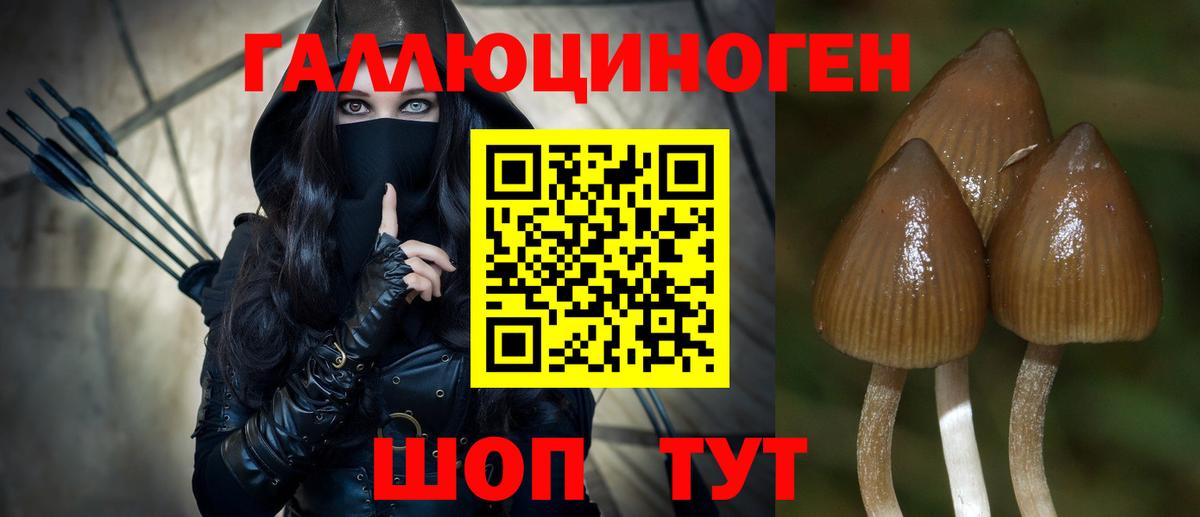 Железногорск  Псилоцибиновые грибы мицелий  Вход с VPN 